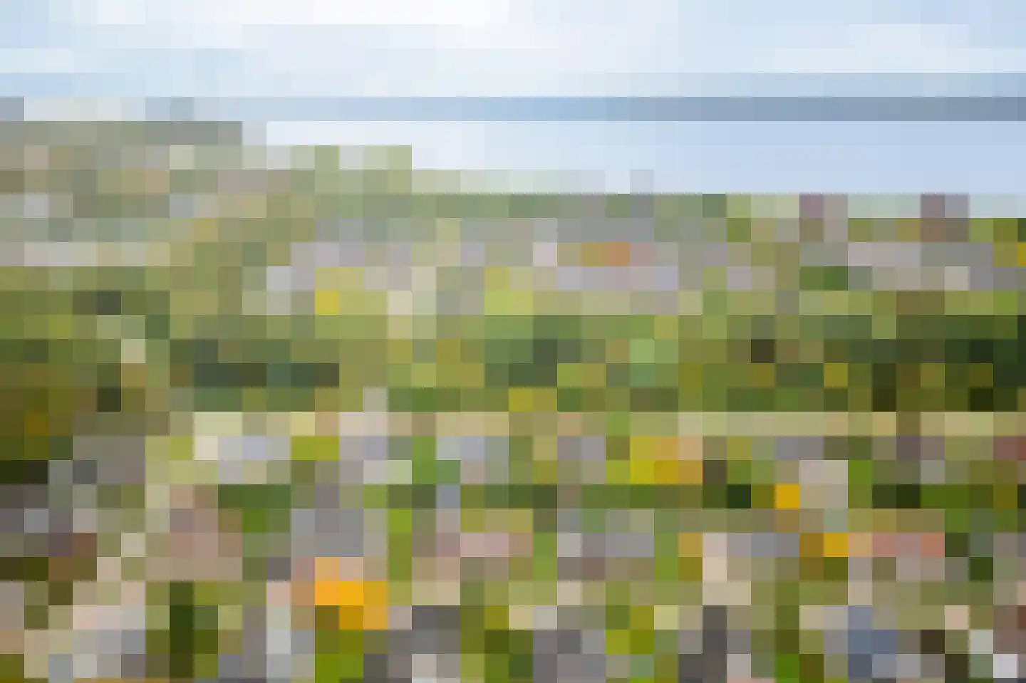 Schaakveld 44 Almere thumbnail 65