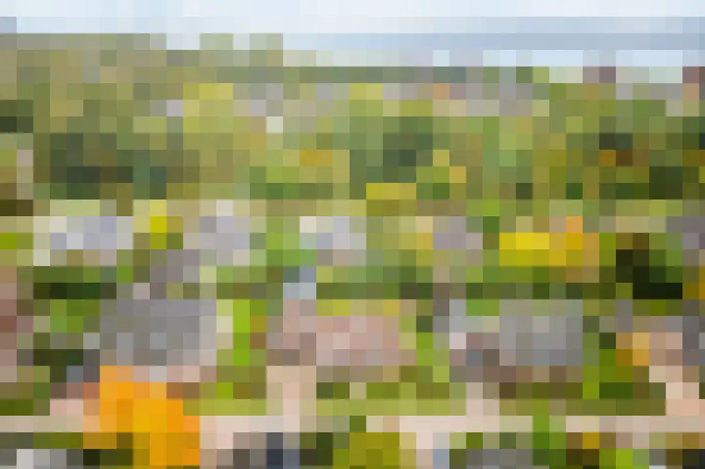 Schaakveld 44 Almere thumbnail 66