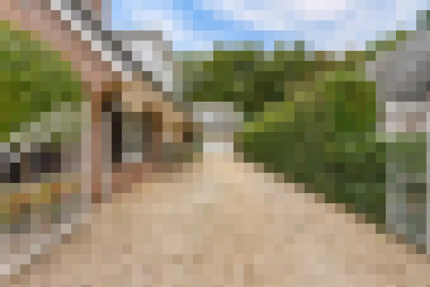Schaakveld 8 Almere thumbnail 100