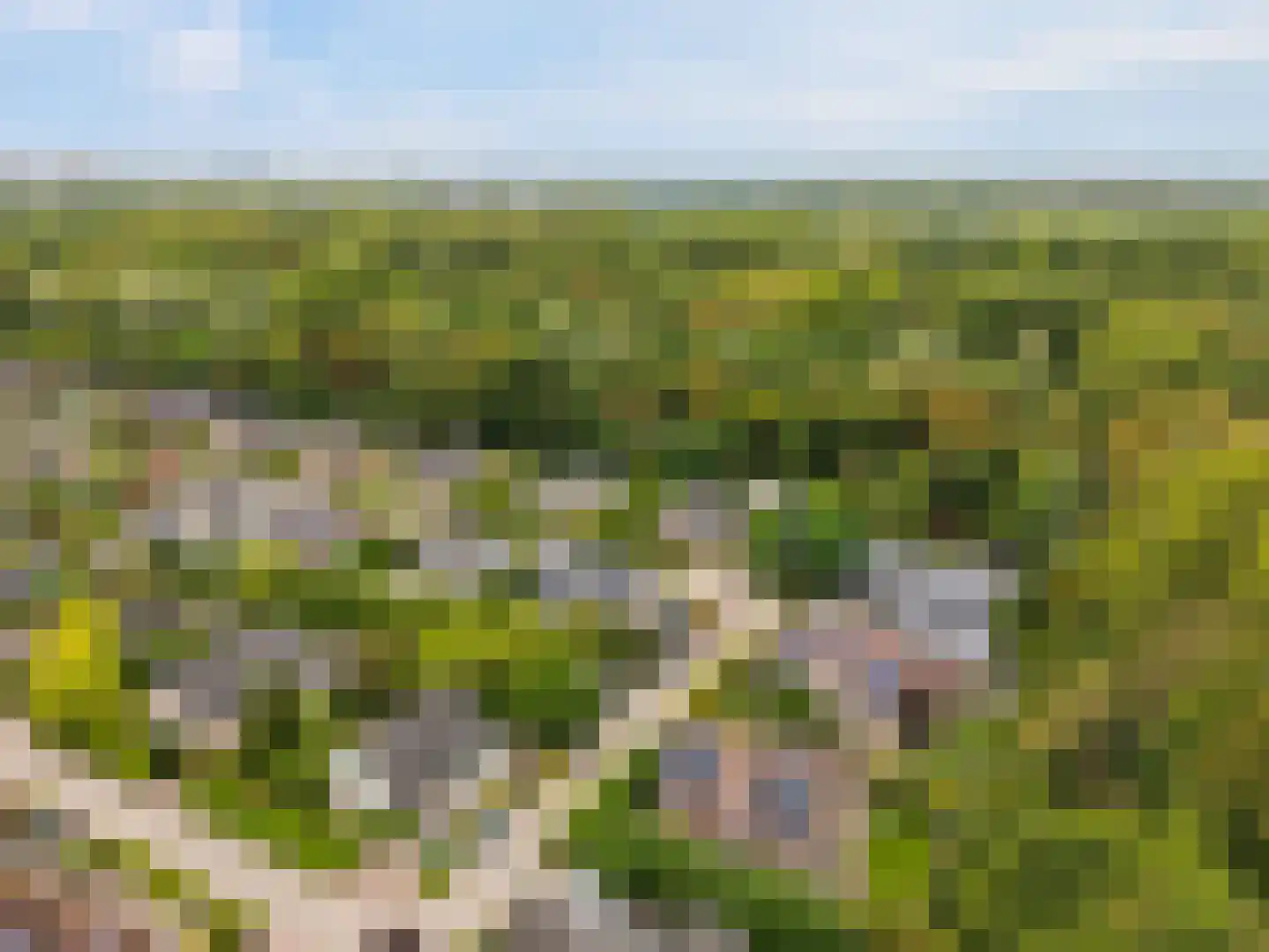Schaakveld 8 Almere thumbnail 106
