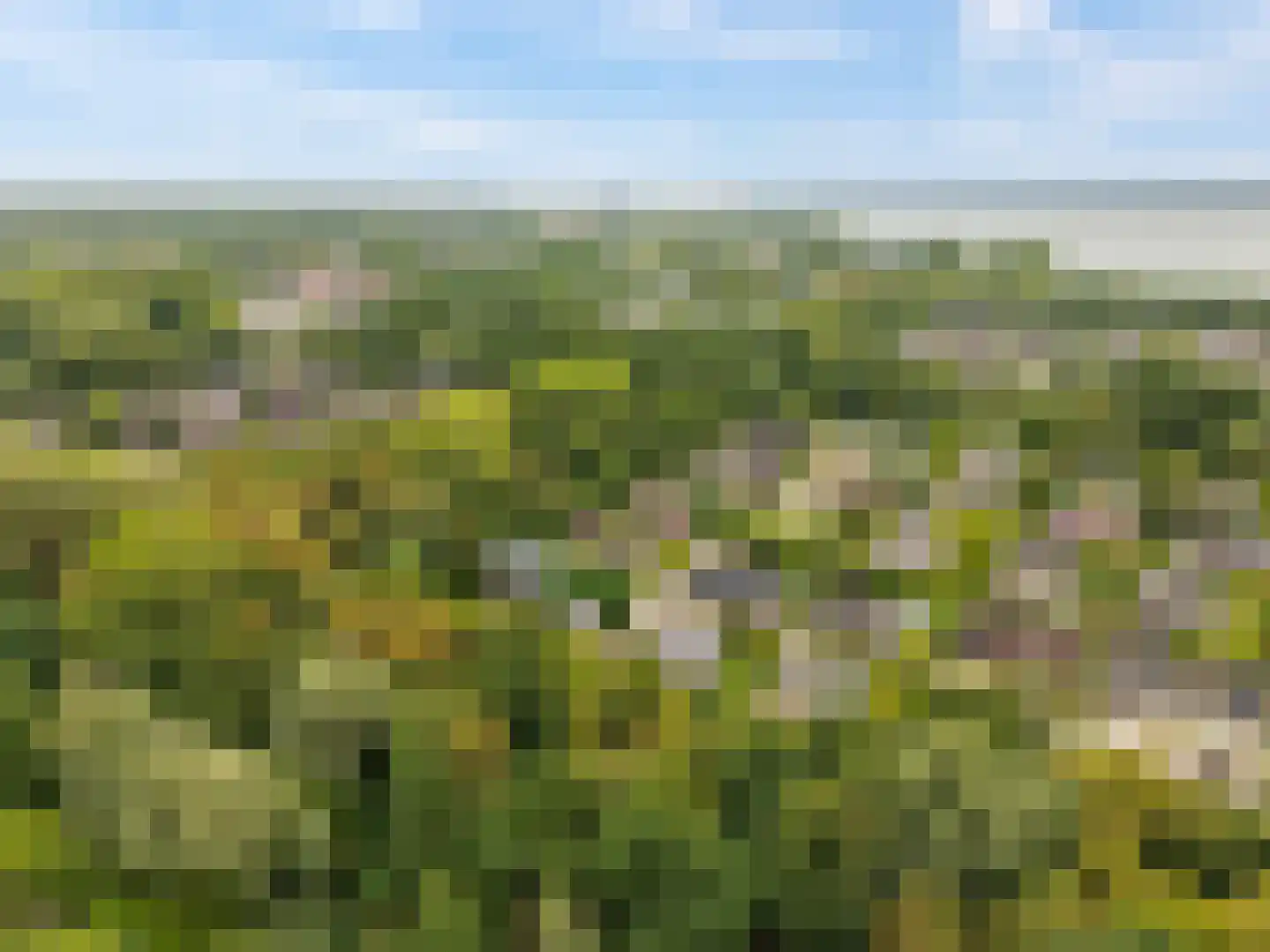 Schaakveld 8 Almere thumbnail 110