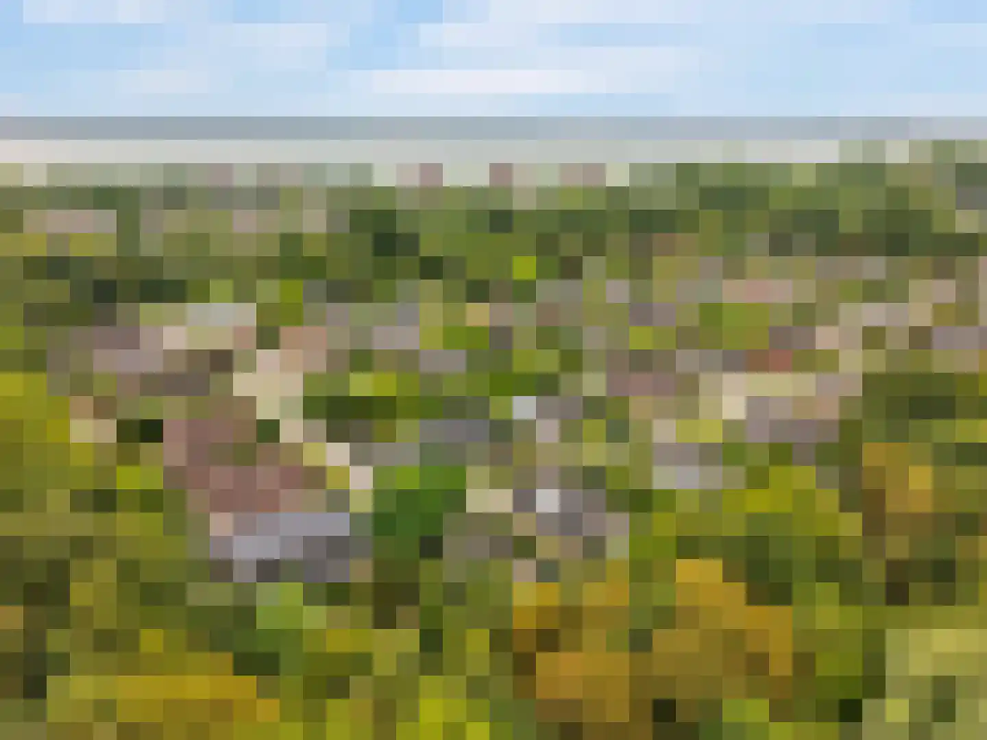 Schaakveld 8 Almere thumbnail 111
