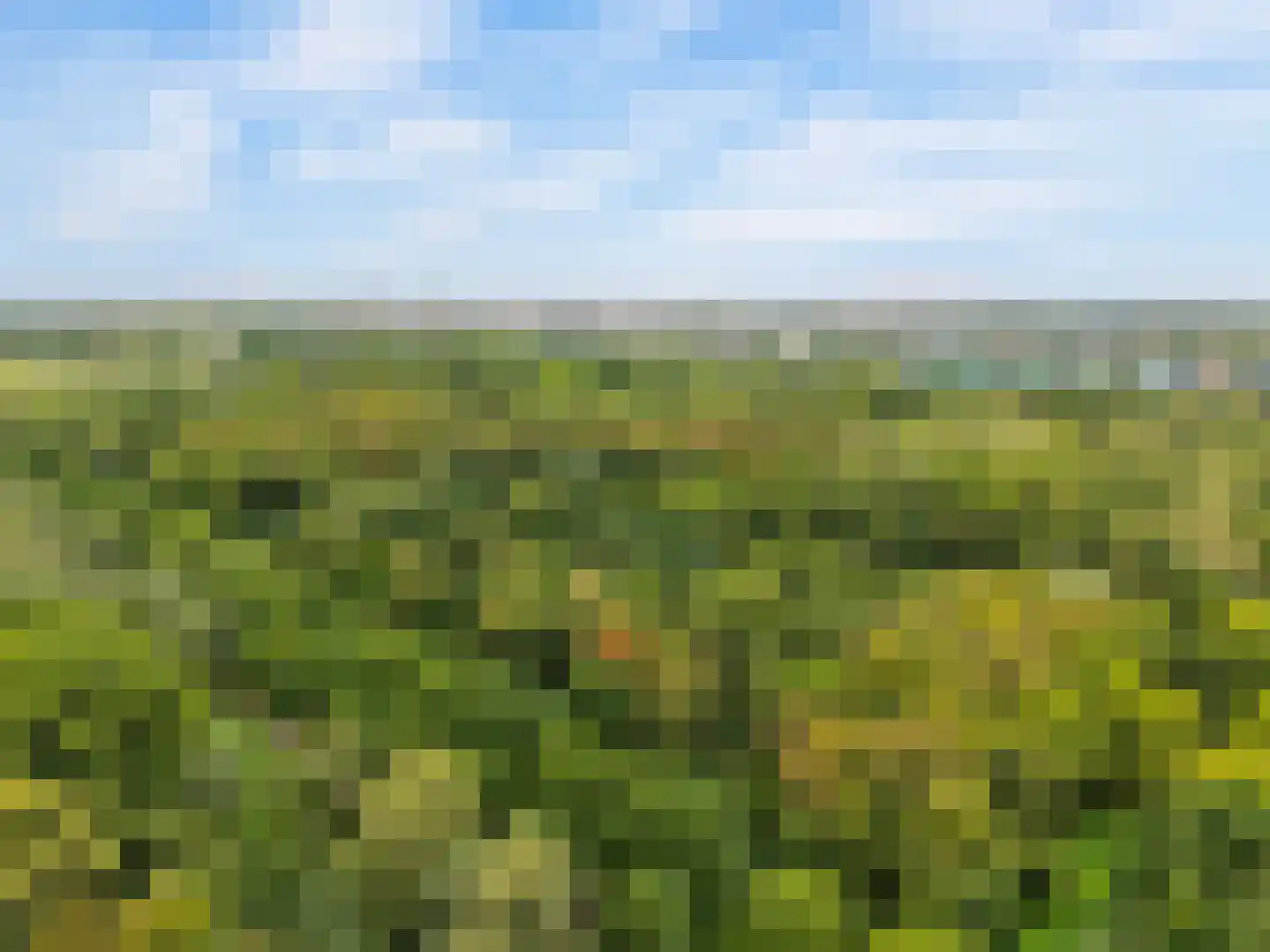 Schaakveld 8 Almere thumbnail 112