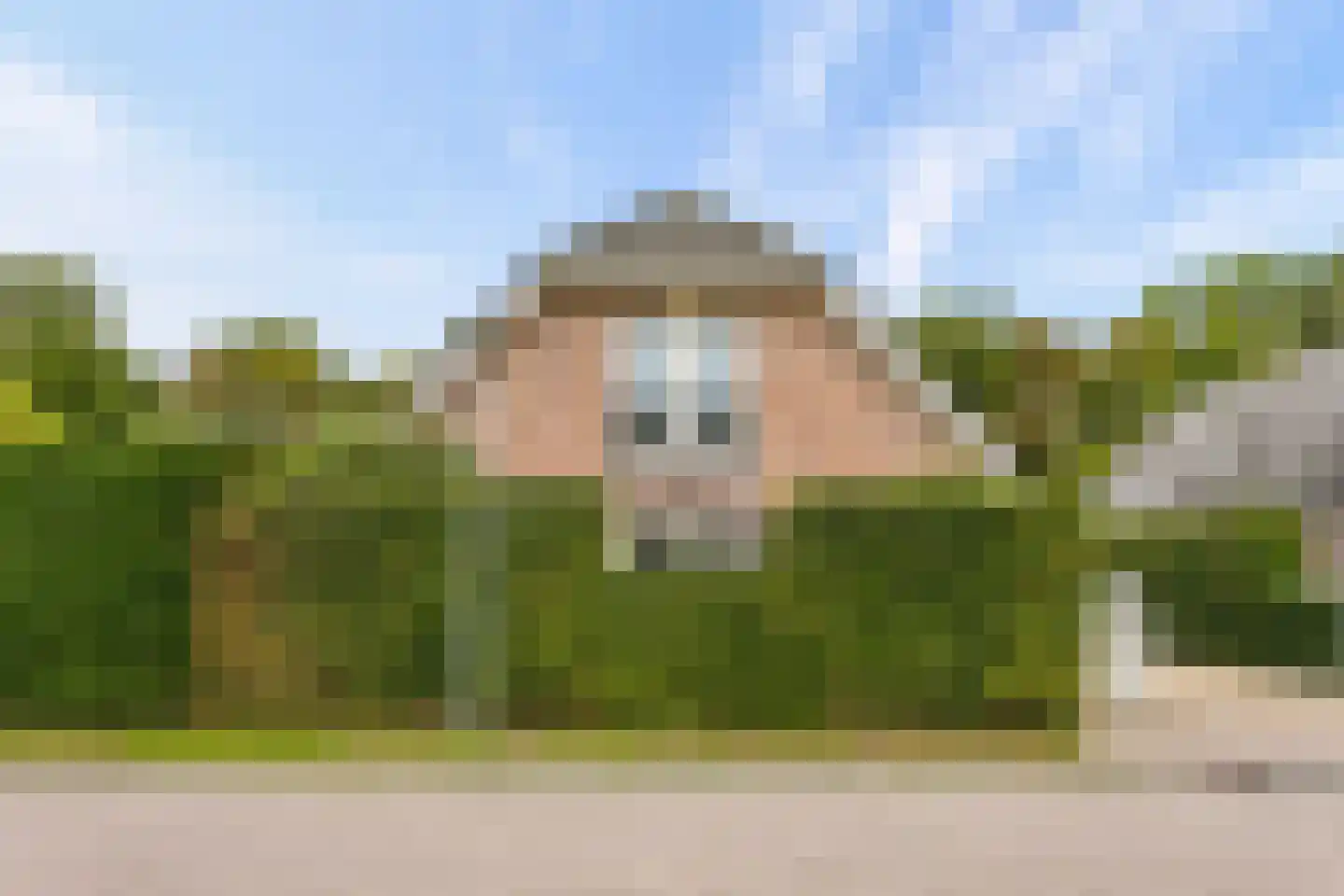 Schaakveld 8 Almere thumbnail 14