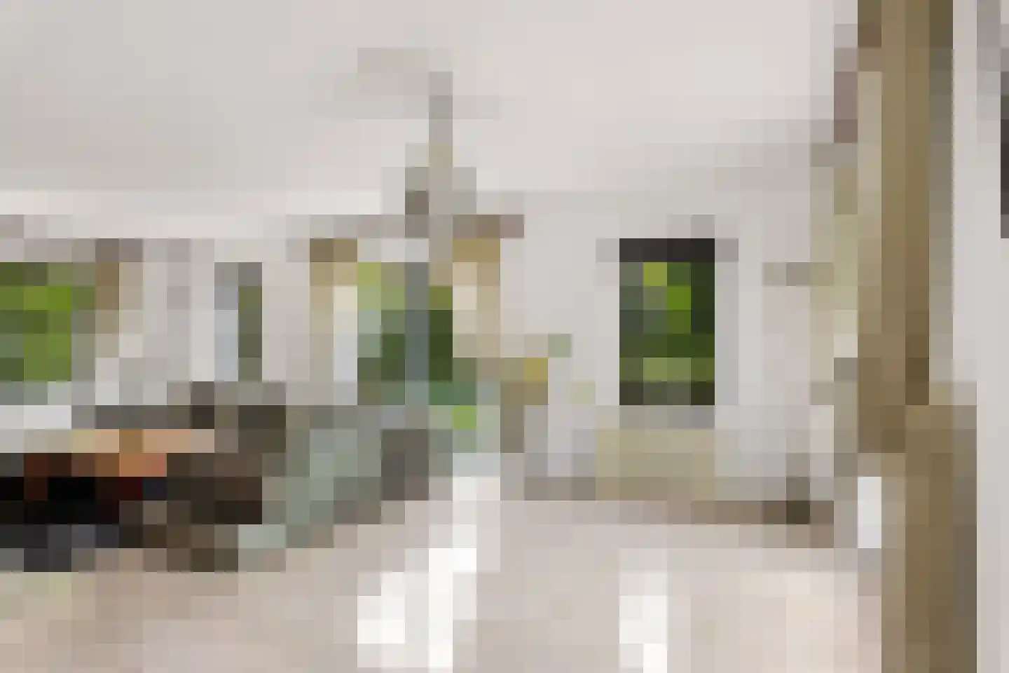 Schaakveld 8 Almere thumbnail 27