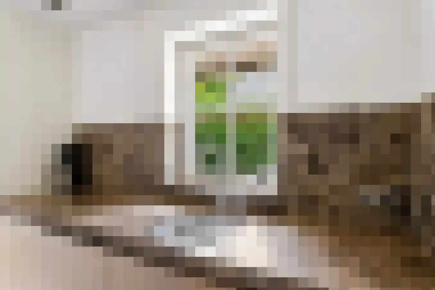 Schaakveld 8 Almere thumbnail 47
