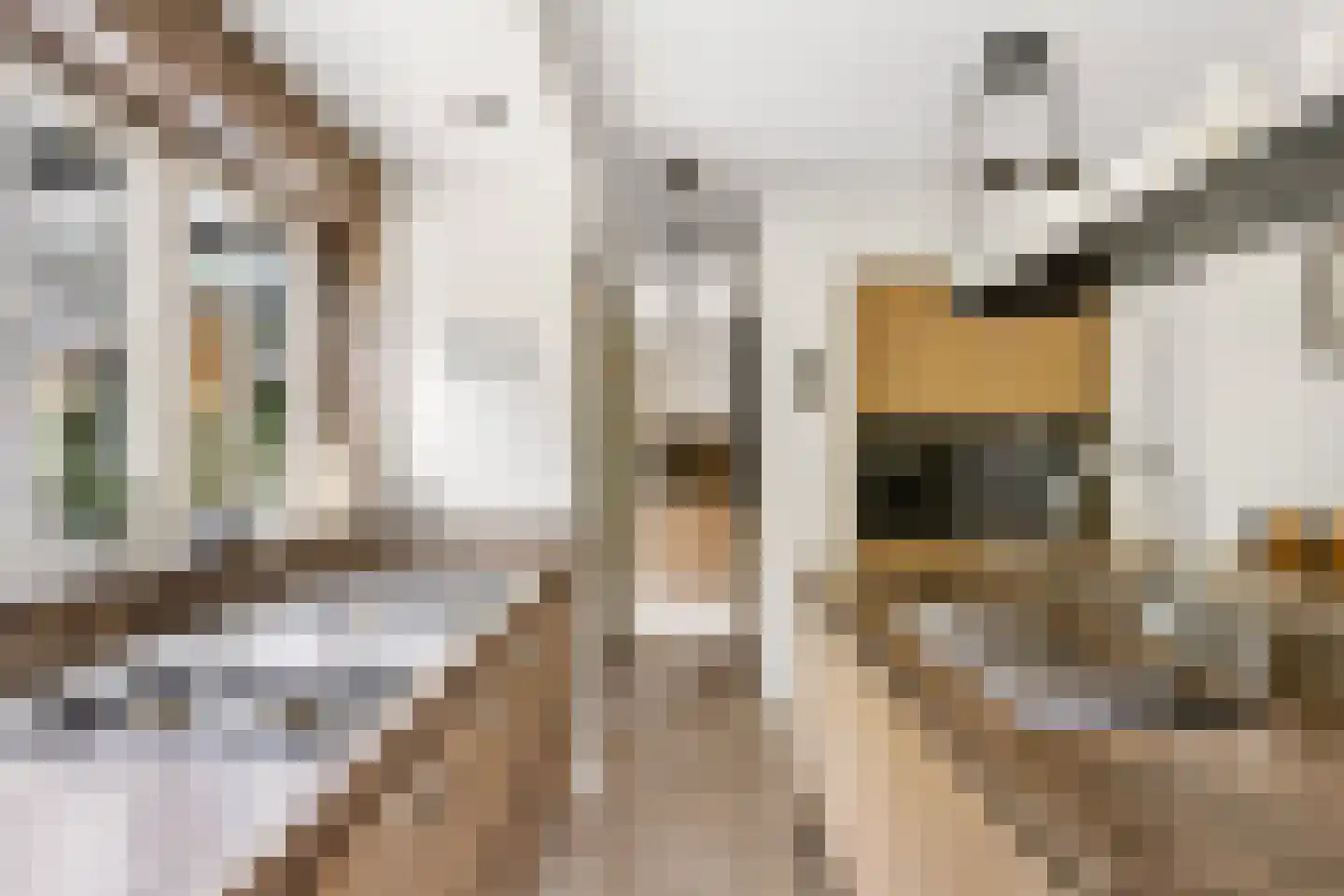 Schaakveld 8 Almere thumbnail 6