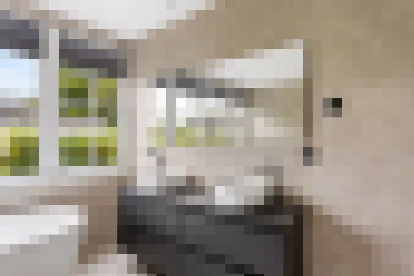 Schaakveld 8 Almere thumbnail 62