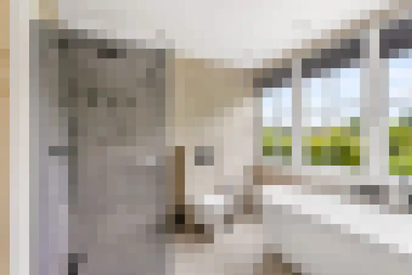 Schaakveld 8 Almere thumbnail 63