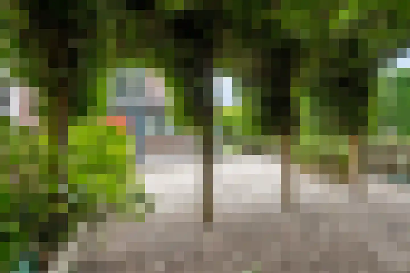 Schaakveld 8 Almere thumbnail 92