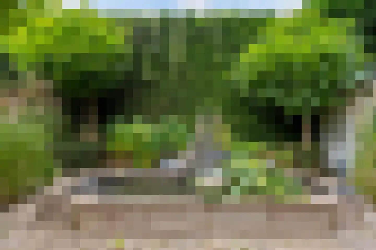 Schaakveld 8 Almere thumbnail 93