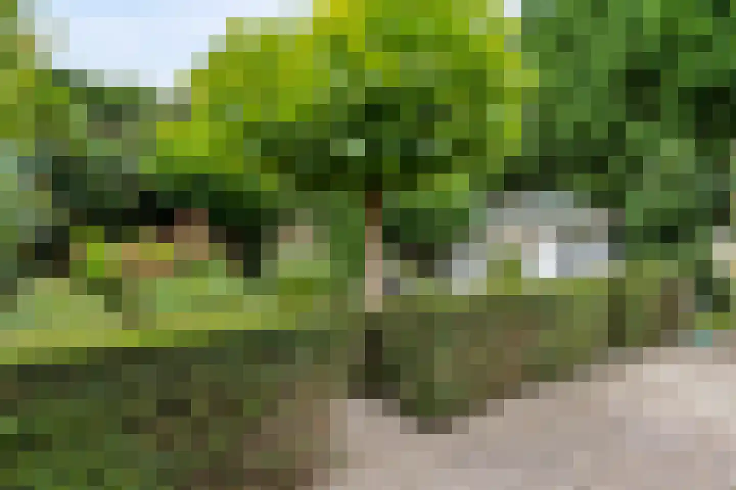 Schaakveld 8 Almere thumbnail 94
