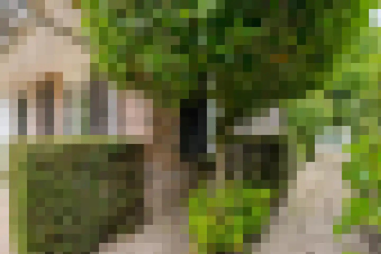 Schaakveld 8 Almere thumbnail 95