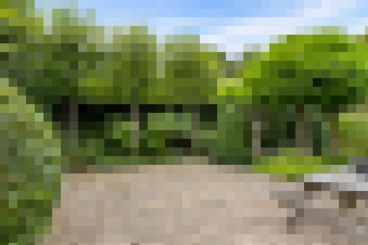Schaakveld 8 Almere thumbnail 97