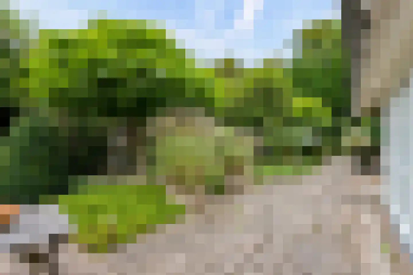 Schaakveld 8 Almere thumbnail 98