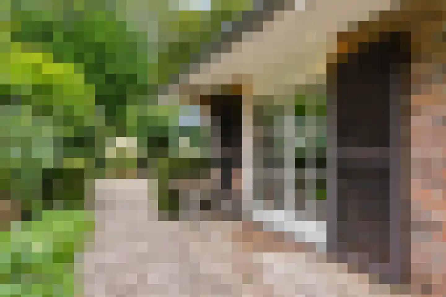 Schaakveld 8 Almere thumbnail 99