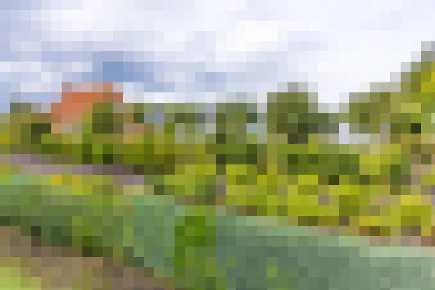 Schaalbergerweg 36 Ter Apelkanaal thumbnail 13