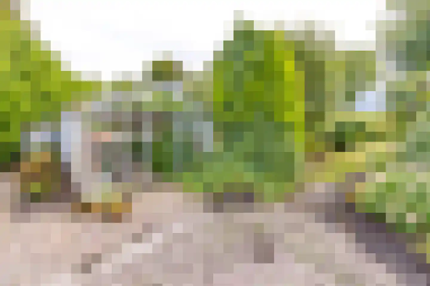 Schaalbergerweg 36 Ter Apelkanaal thumbnail 17