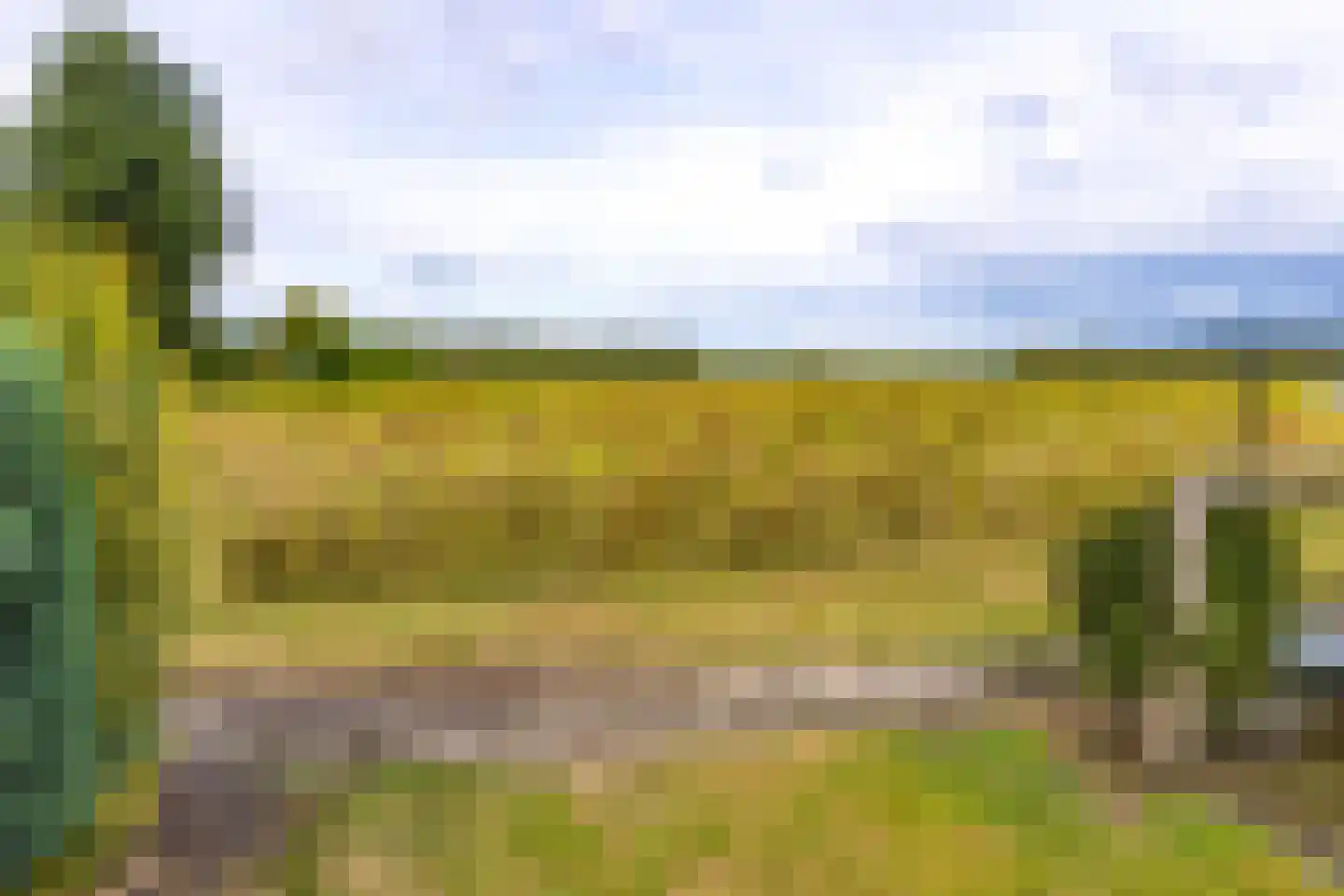 Schaalbergerweg 36 Ter Apelkanaal thumbnail 43