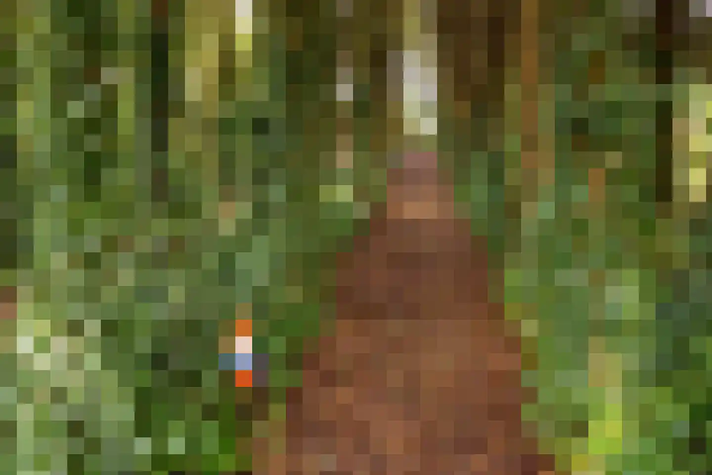 Schaalbergerweg 36 Ter Apelkanaal thumbnail 47