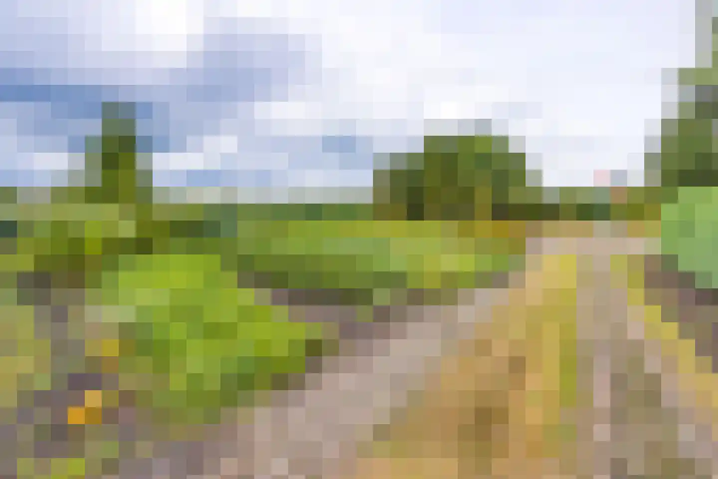 Schaalbergerweg 36 Ter Apelkanaal thumbnail 49