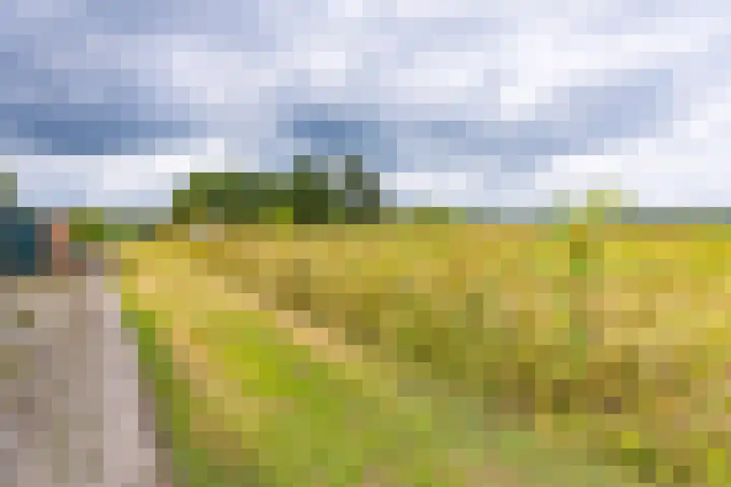 Schaalbergerweg 36 Ter Apelkanaal thumbnail 50