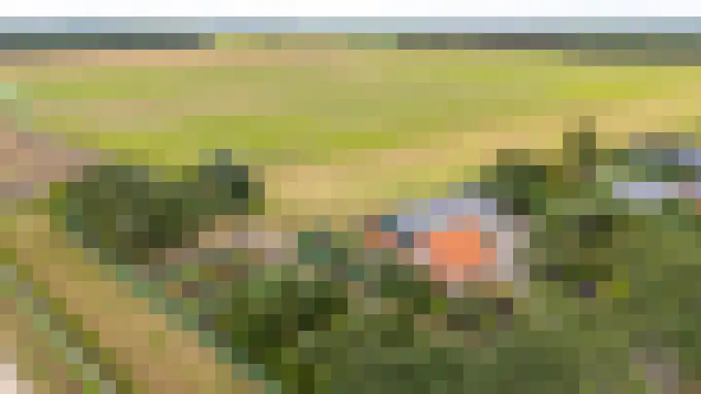 Schaalbergerweg 36 Ter Apelkanaal thumbnail 51