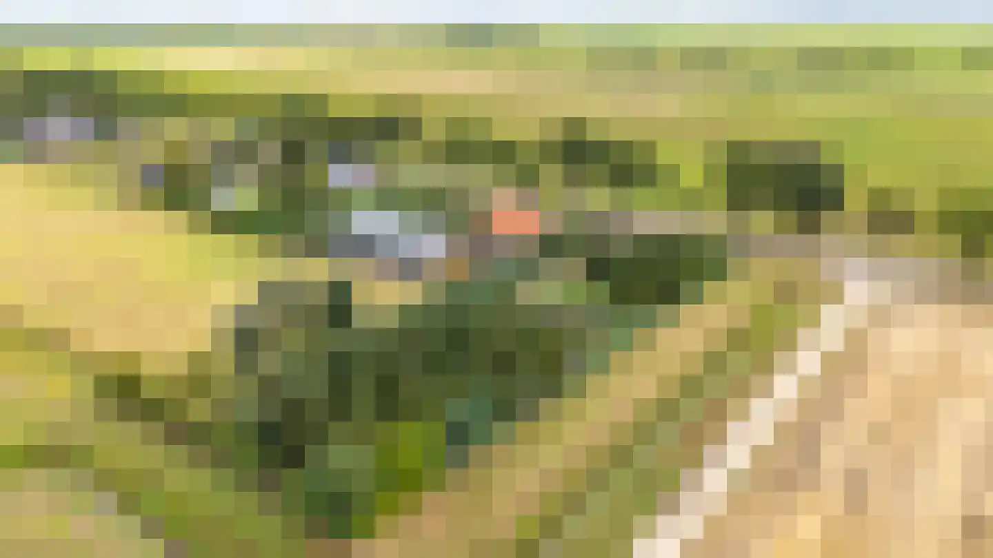 Schaalbergerweg 36 Ter Apelkanaal thumbnail 56