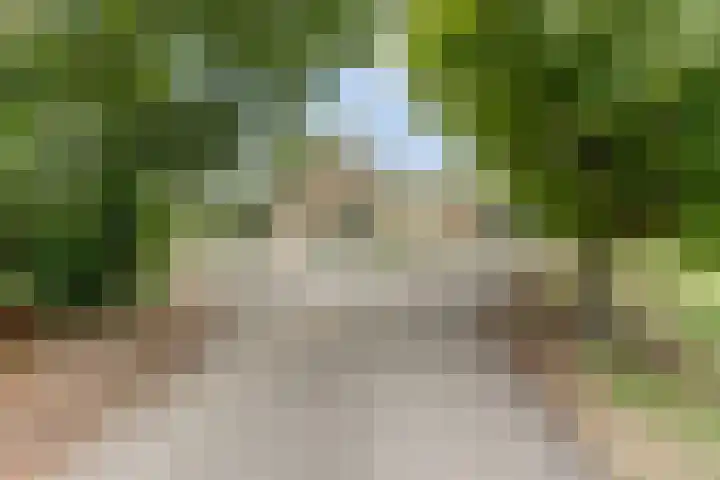 Schaanstraat 9 Chaam thumbnail 10