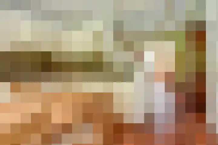 Schaanstraat 9 Chaam thumbnail 15
