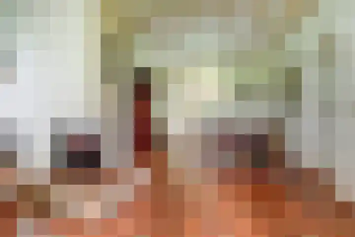 Schaanstraat 9 Chaam thumbnail 16