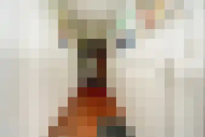 Schaanstraat 9 Chaam thumbnail 21