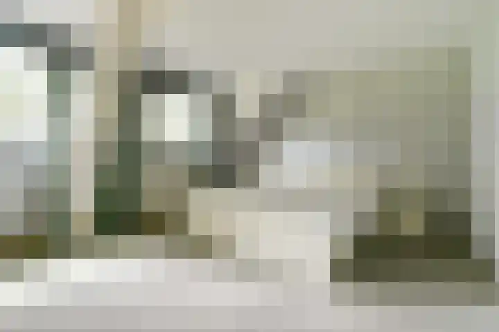 Schaanstraat 9 Chaam thumbnail 22