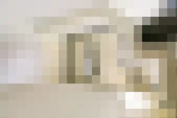 Schaanstraat 9 Chaam thumbnail 23