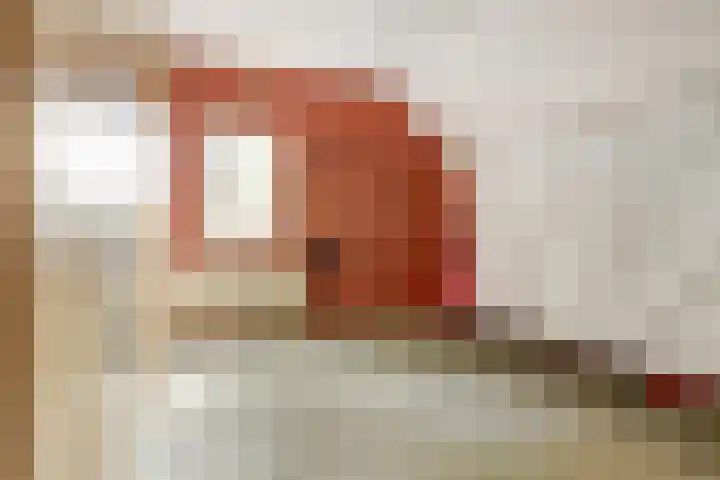 Schaanstraat 9 Chaam thumbnail 29