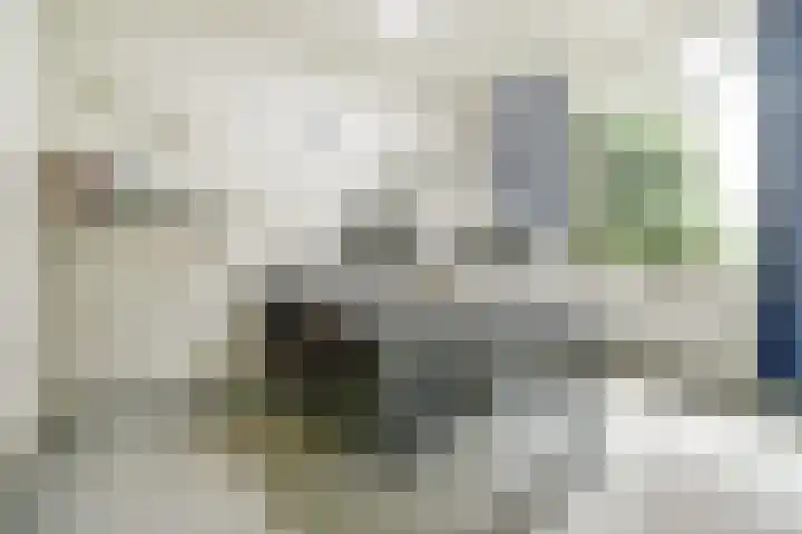 Schaanstraat 9 Chaam thumbnail 30
