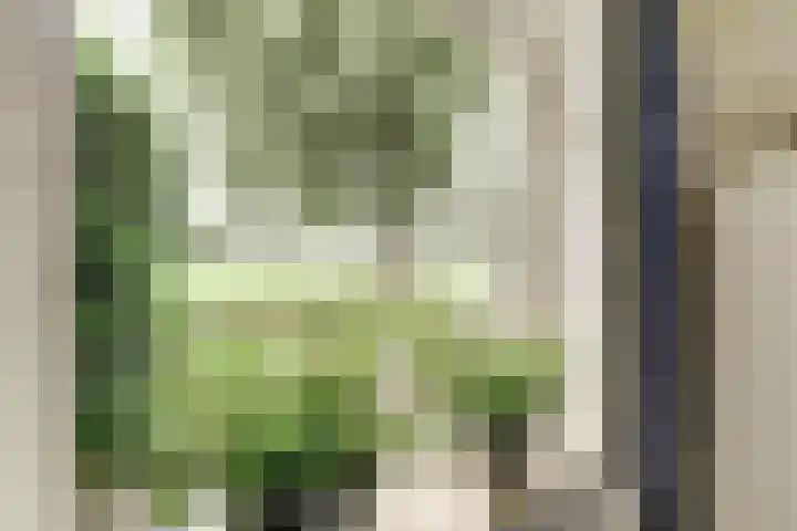 Schaanstraat 9 Chaam thumbnail 31
