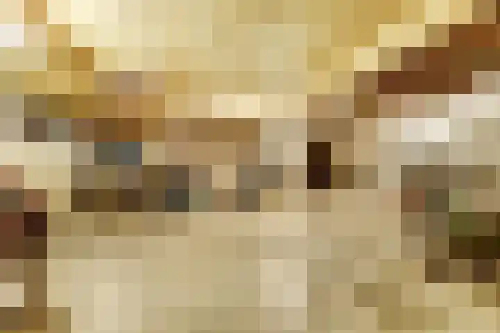 Schaanstraat 9 Chaam thumbnail 34