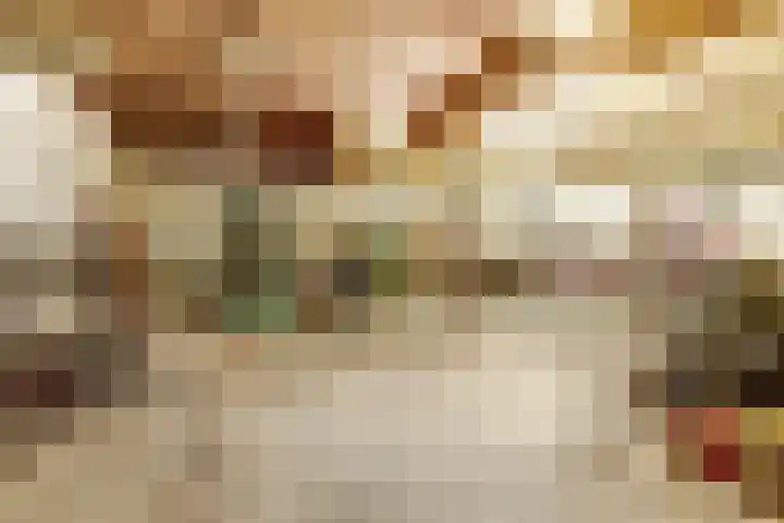 Schaanstraat 9 Chaam thumbnail 35