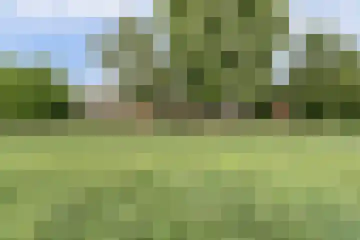 Schaanstraat 9 Chaam thumbnail 4