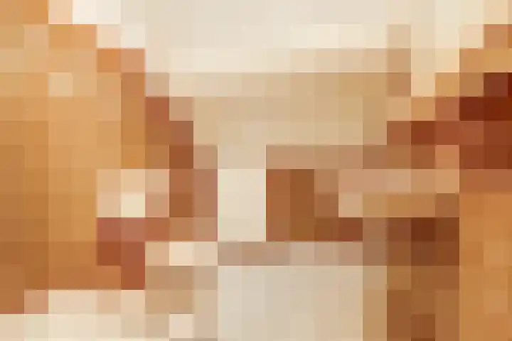 Schaanstraat 9 Chaam thumbnail 41