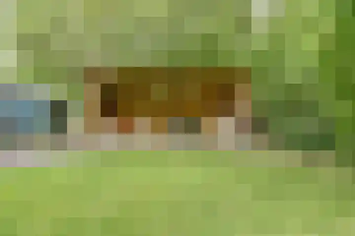 Schaanstraat 9 Chaam thumbnail 47