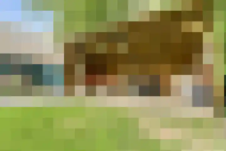 Schaanstraat 9 Chaam thumbnail 48