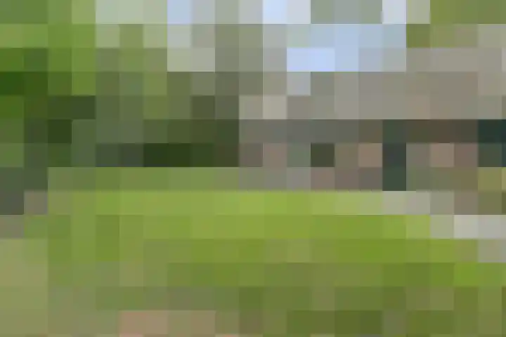 Schaanstraat 9 Chaam thumbnail 49