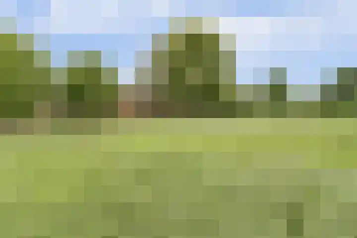 Schaanstraat 9 Chaam thumbnail 5