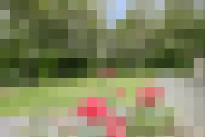 Schaanstraat 9 Chaam thumbnail 50
