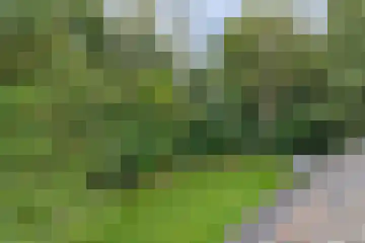 Schaanstraat 9 Chaam thumbnail 52