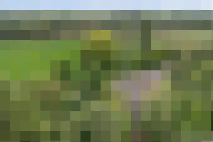 Schaanstraat 9 Chaam thumbnail 53