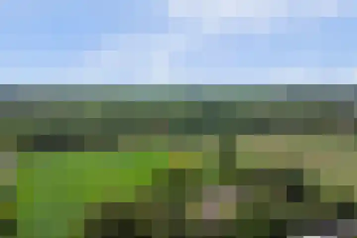 Schaanstraat 9 Chaam thumbnail 54