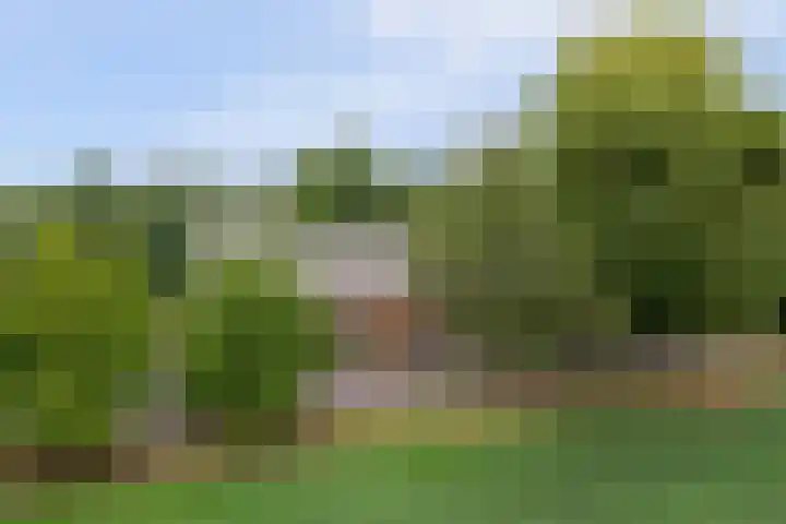 Schaanstraat 9 Chaam thumbnail 55